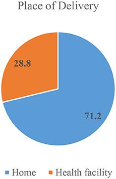 Institutional delivery and associated factors among women who gave birth in Benishangul Gumuz region, South West Ethiopia